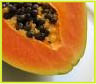  (Papaya)